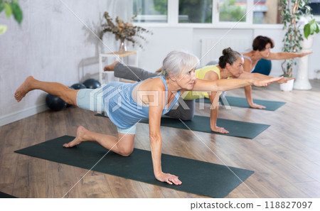 Group of elderly woman doing pilates on mat in studio Group of elderly woman doing pilates on mat in studio 118827097