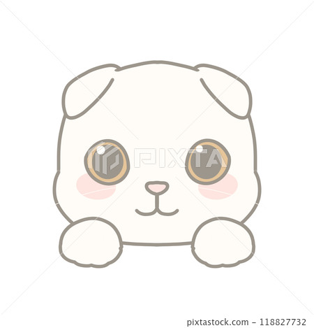 Scottish Fold illustrations 118827732