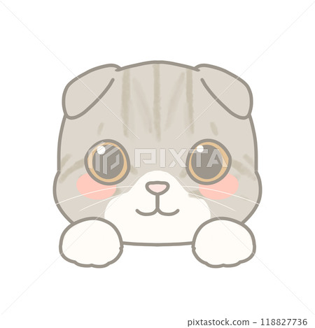 蘇格蘭折耳貓插圖 118827736