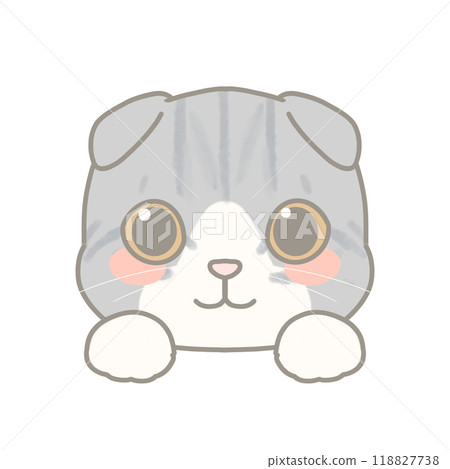 蘇格蘭折耳貓插圖 118827738