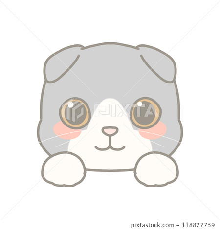 蘇格蘭折耳貓插圖 118827739