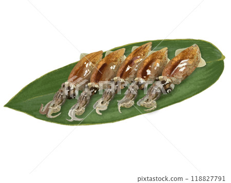 5 raw firefly squids with bamboo leaves 118827791
