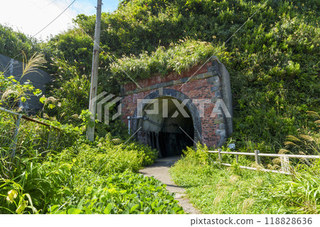 Old railway tunnel leading to the Ushigakubi Formation internal fold 118828636