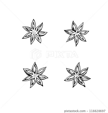 Star anise seeds isolated on white background. Hand-drawn  illustration in black and white engraving style. 118828697