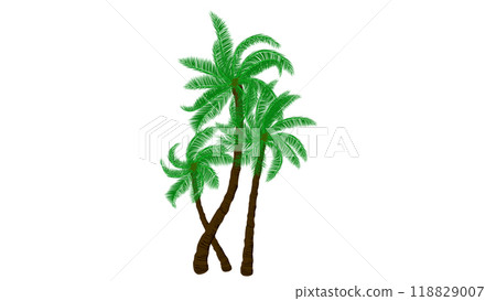 A group of palm tree with isolated white background A group of palm tree with isolated white background 118829007
