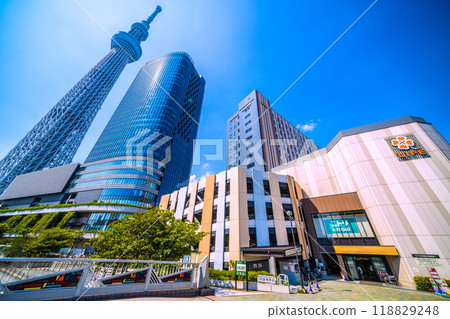日本東京城市景觀：東京晴空塔與晴空街道綠樹成蔭 = 9 月 6 日 118829248