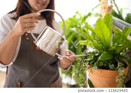 Beautiful brunette woman houseplant growth hobby watering potted plant at home garden closeup Beautiful brunette woman houseplant growth hobby watering potted plant at home garden closeup 118829485