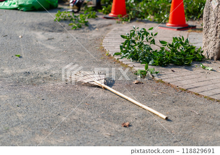 Caring for trees in the park Caring for trees in the park 118829691
