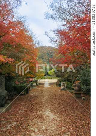 從兵庫/小山森林公園看到的高山 118829718