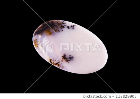 Dendritic Agate A stone that harbors landscapes 118829905