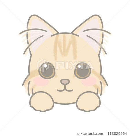 Long-haired cat illustration Long-haired cat illustration 118829964