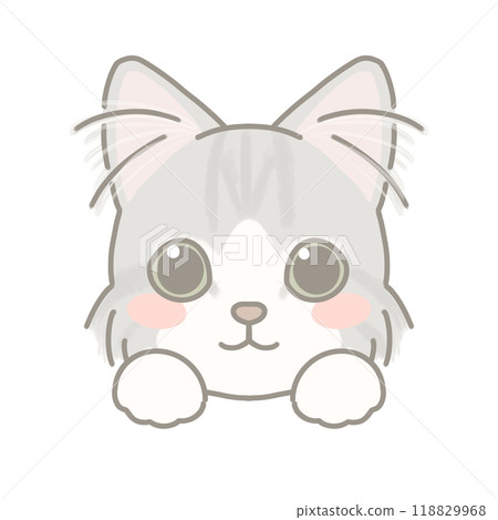 長毛貓圖 長毛貓圖 118829968