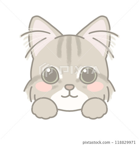 Long-haired cat illustration Long-haired cat illustration 118829971