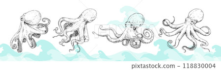 Vintage octopus. Sea kraken. Cephalopod animal sketch. Aquatic squid or tentacle anatomy. Engraving underwater cuttlefish. Hand drawn line ink graphic. Ocean wave. Vector undersea set 118830004