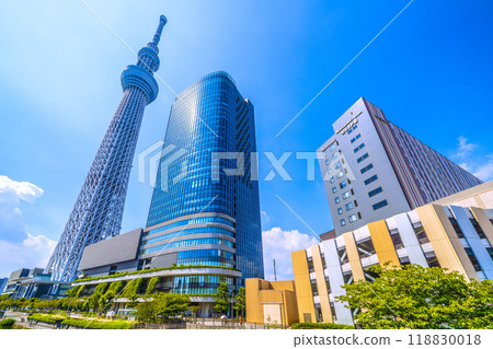 日本東京城市景觀:東京晴空塔和晴空街道在綠樹映襯下的景色= 2020年9月6日 日本東京城市景觀:東京晴空塔和晴空街道在綠樹映襯下的景色= 2020年9月6日 118830018