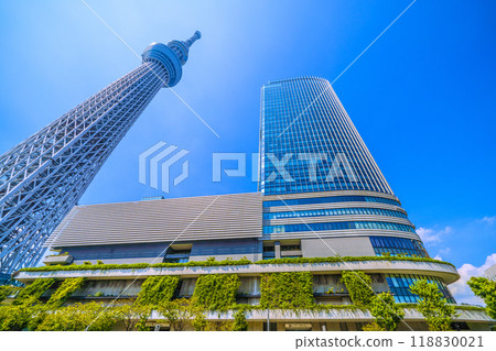 日本東京城市景觀:東京晴空塔和晴空街道在綠樹映襯下的景色= 2020年9月6日 日本東京城市景觀:東京晴空塔和晴空街道在綠樹映襯下的景色= 2020年9月6日 118830021
