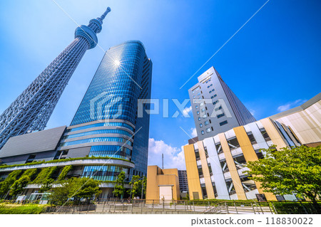 日本東京城市景觀:東京晴空塔和晴空街道在綠樹映襯下的景色= 2020年9月6日 日本東京城市景觀:東京晴空塔和晴空街道在綠樹映襯下的景色= 2020年9月6日 118830022