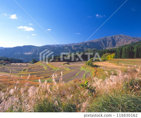 蒲葦搖曳的別宮棚田與紅葉的冰之山 118830162