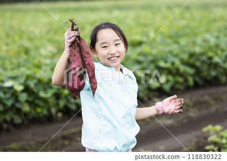 挖地瓜的女孩 118830322