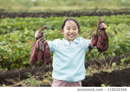 挖地瓜的女孩 118830366