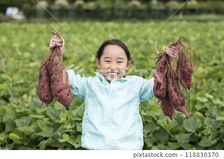 挖地瓜的女孩 118830370