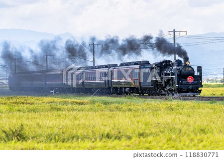 Rice ears near harvest time and the SL Ban'etsu Monogatari, Aizuwakamatsu, Fukushima Prefecture 118830771