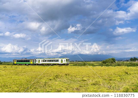 福島縣會津美里町的稻荷線和忠見線列車在收穫前 118830775