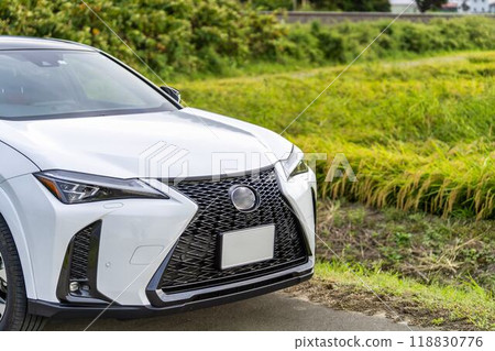 秋天的稻穗和白騎 秋天的稻穗和白騎 118830776