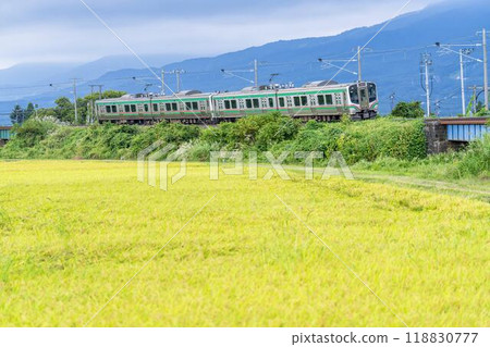 福島縣豬苗代町磐越西線的秋天稻田和電車 福島縣豬苗代町磐越西線的秋天稻田和電車 118830777
