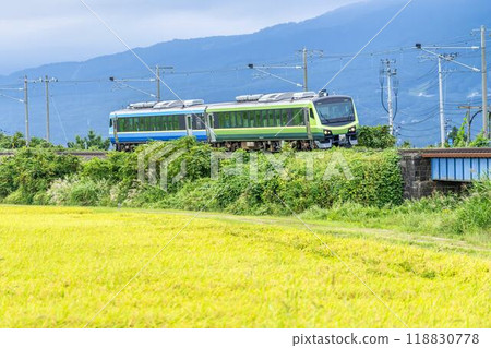 Autumn rice and a train on the Ban'etsu West Line, Inawashiro Town, Fukushima Prefecture 118830778