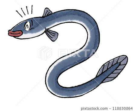 快樂的鰻魚 118830864