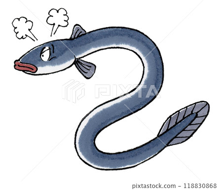 憤怒的鰻魚 118830868
