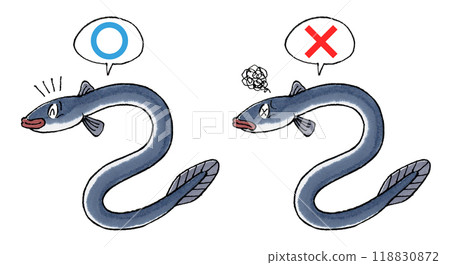 Judgement Eel Set (True or False) Judgement Eel Set (True or False) 118830872