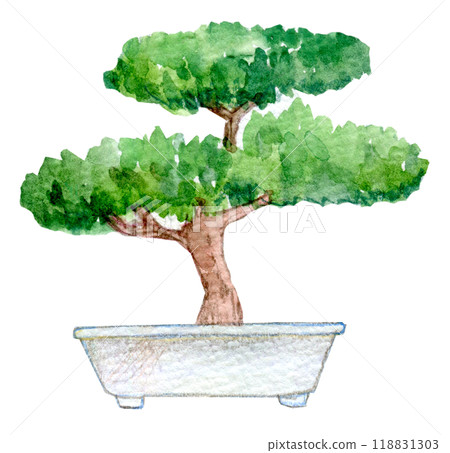 室內植物水彩插圖 118831303