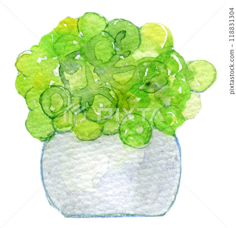 室內植物水彩插圖 118831304