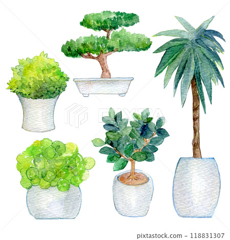 室內植物水彩插圖 室內植物水彩插圖 118831307