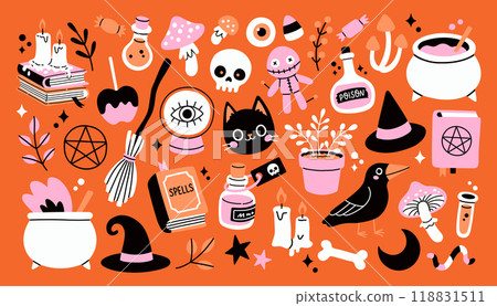 Trendy Halloween element set. Witch craft, cat, raven, witch hat, potion and cauldron. For card, sticker, poster 118831511