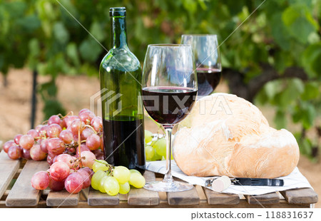 Glass of red wine ripe grapes and bread in vineyard Glass of red wine ripe grapes and bread in vineyard 118831637