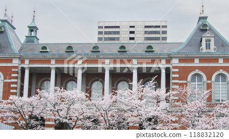 Cherry blossoms in full bloom at the former Ministry of Justice building. Cityscape (March 2022) Cherry blossoms in full bloom at the former Ministry of Justice building. Cityscape (March 2022) 118832120