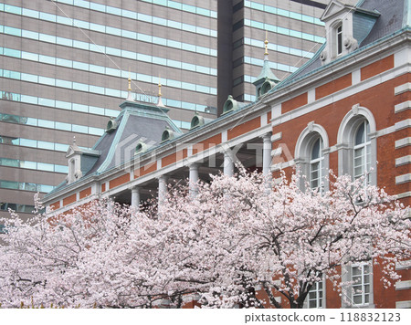 Cherry blossoms in full bloom at the former Ministry of Justice building. Cityscape (March 2022) Cherry blossoms in full bloom at the former Ministry of Justice building. Cityscape (March 2022) 118832123