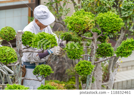 Working seniors contribute to the local community Garden tree pruning service 118832461