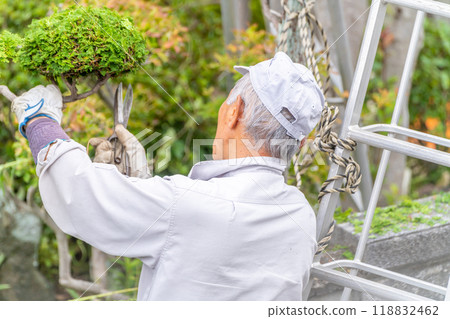 Working seniors contribute to the local community Garden tree pruning service 118832462