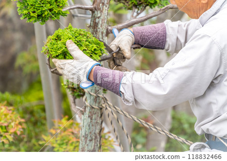 Working seniors contribute to the local community Garden tree pruning service 118832466