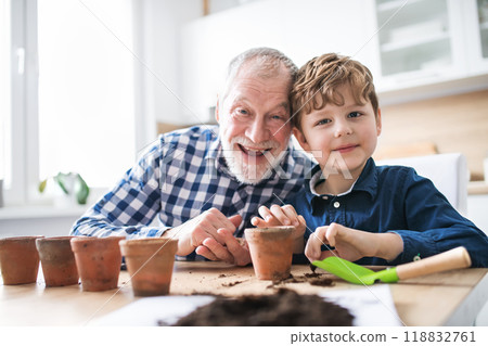 Grandfather and grandson planting seedlings. Vegetable seeds in the palm, planted into small terracotta pots. 118832761