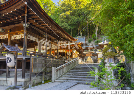 Himure Hachiman Shrine, worship hall and main hall (Omihachiman City, Shiga Prefecture) 118833156