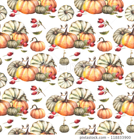 Watercolor pumpkins with wild rosehip berry, briar fruits, dog rose seamless pattern Autumn harvest illustration. Hand drawn Thanksgiving Day fabric packaging, wallpaper Isolated on white background. Watercolor pumpkins with wild rosehip berry, briar fruits, dog rose seamless pattern Autumn harvest illustration. Hand drawn Thanksgiving Day fabric packaging, wallpaper Isolated on white background. 118833900