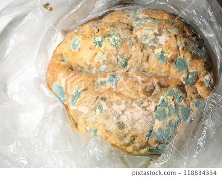 Mould growing on old bread 118834334