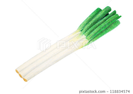 用色鉛筆畫的蔥 118834574
