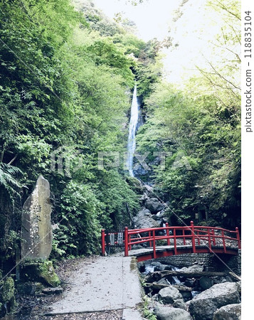 A waterfall covered in fresh greenery A waterfall covered in fresh greenery 118835104