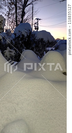 大雪 118835127